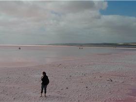 High Salinity in Pink