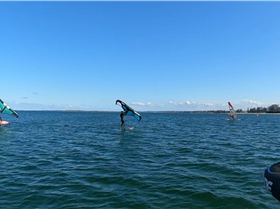 Early Spring day at the end of Winter 2022 with a lot of sails and wings out