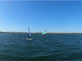 Early Spring day at the end of Winter 2022 with a lot of sails and wings out