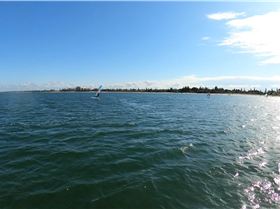 Early Spring day at the end of Winter 2022 with a lot of sails and wings out