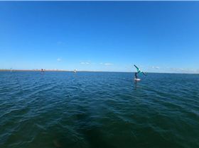 Early Spring day at the end of Winter 2022 with a lot of sails and wings out