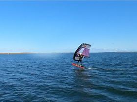 Early Spring day at the end of Winter 2022 with a lot of sails and wings out