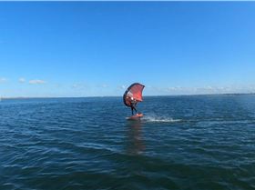 Early Spring day at the end of Winter 2022 with a lot of sails and wings out