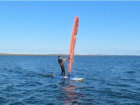 Early Spring day at the end of Winter 2022 with a lot of sails and wings out