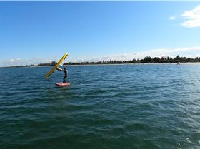 Early Spring day at the end of Winter 2022 with a lot of sails and wings out