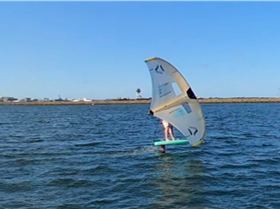 Early Spring day at the end of Winter 2022 with a lot of sails and wings out