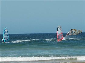 NSW WS Woolgoolga - 4-6 Oct 2008