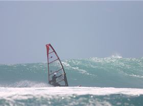 good vision through x-ply on ezzy wave