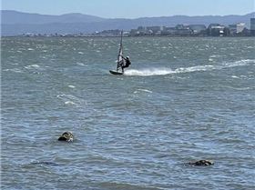 Windsurfing