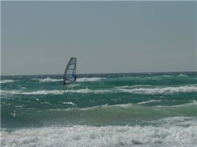 friday at north kirra 2