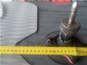 PXL20221009073913648