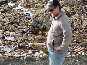 Marrawah - Greens Beach