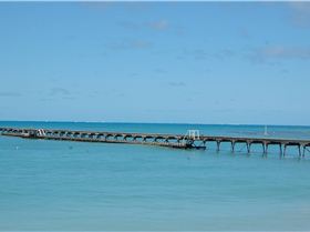 Sailing 116\" Naish SUPs