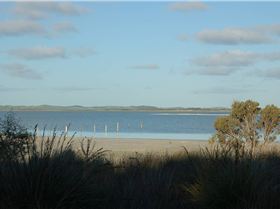 Lake George near Beachport. Not very windy.