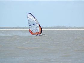 Anthony \"The Ever Ready Bunny\" Hamood