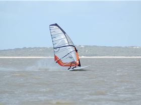 Anthony \"The Ever Ready Bunny\" Hamood