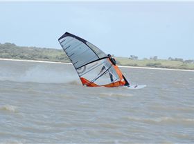 Anthony \"The Ever Ready Bunny\" Hamood