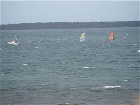 Raceboard State Championships