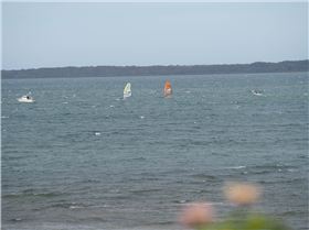 Raceboard State Championships