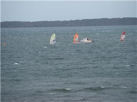 Raceboard State Championships