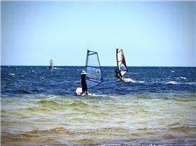 Screamin Leeman - 2023