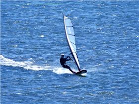 Screamin Leeman - 2023