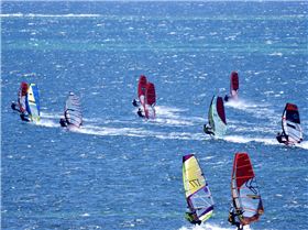 Screamin Leeman - 2023