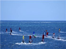 Screamin Leeman - 2023