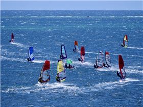 Screamin Leeman - 2023