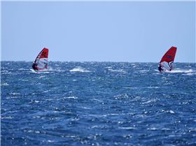 Screamin Leeman - 2023