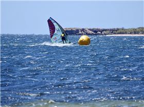 Screamin Leeman - 2023