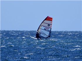 Screamin Leeman - 2023