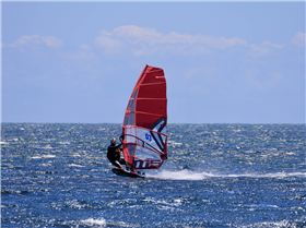 Screamin Leeman - 2023