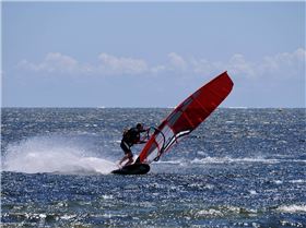 Screamin Leeman - 2023