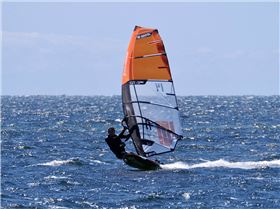 Screamin Leeman - 2023