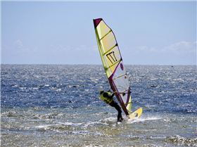 Screamin Leeman - 2023