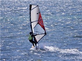 Screamin Leeman - 2023