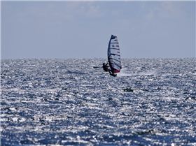 Screamin Leeman - 2023