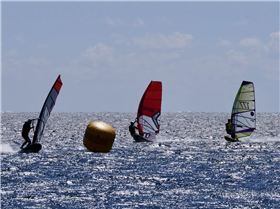 Screamin Leeman - 2023