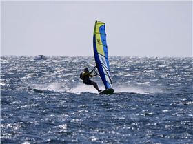 Screamin Leeman - 2023