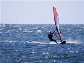 Screamin Leeman - 2023