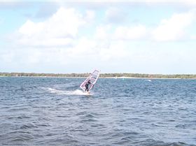 junior freestyle shearwater