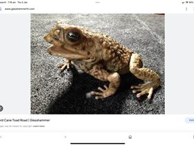 2023 45th National Windsurfer Championships