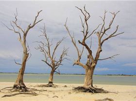 Lake Bonney Onboard Weekend