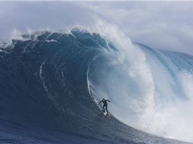 Tasmania SE and always windy