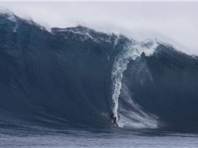 Tasmania SE and always windy