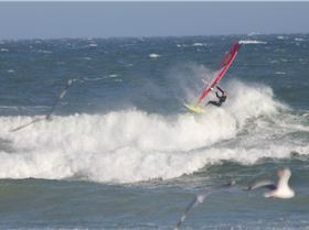 Windsurfing