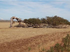 It get's windy in Geraldton
