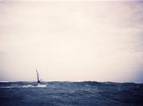 SEQ Wavesailing sign on day