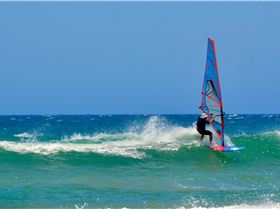 WoopiWaveOctober2023